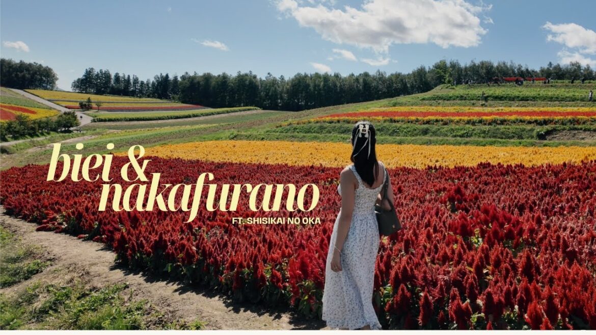 japan π―π΅ | a day trip to hokkaido’s countryside: biei & nakafurano πͺ» japan π―π΅ | a day trip to hokkaido's countryside: biei & nakafurano πͺ»