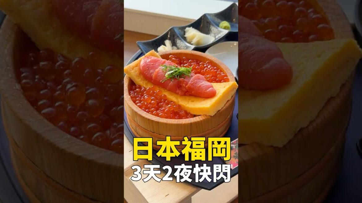 在福岡快閃三天兩夜要花多少錢？ #我是智明 #福岡