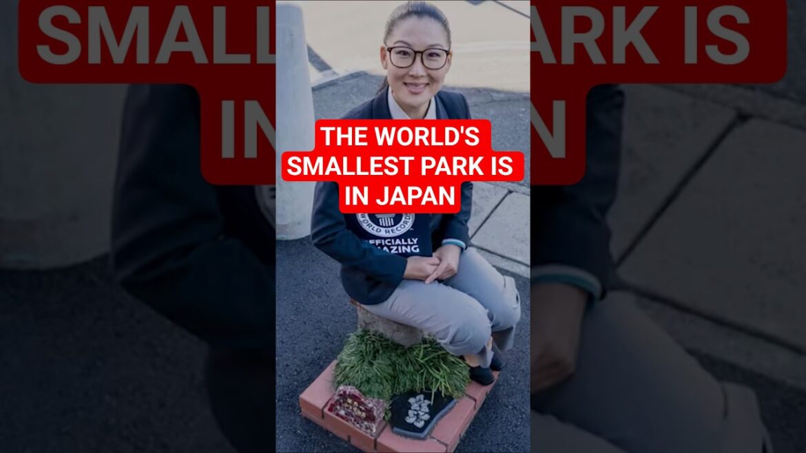 The World’s Smallest Park is in Japan??? #japan #worldrecord The World's Smallest Park is in Japan??? #japan #worldrecord