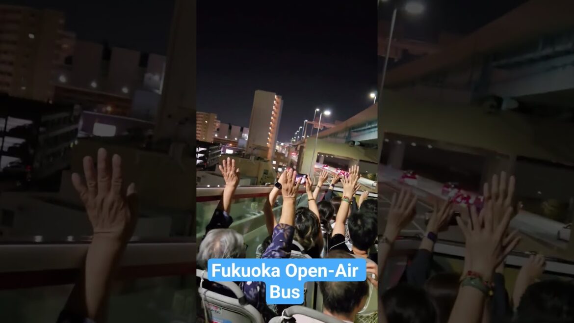 Fukuoka Open Top Bus Tour!  #fukuoka #japantravel