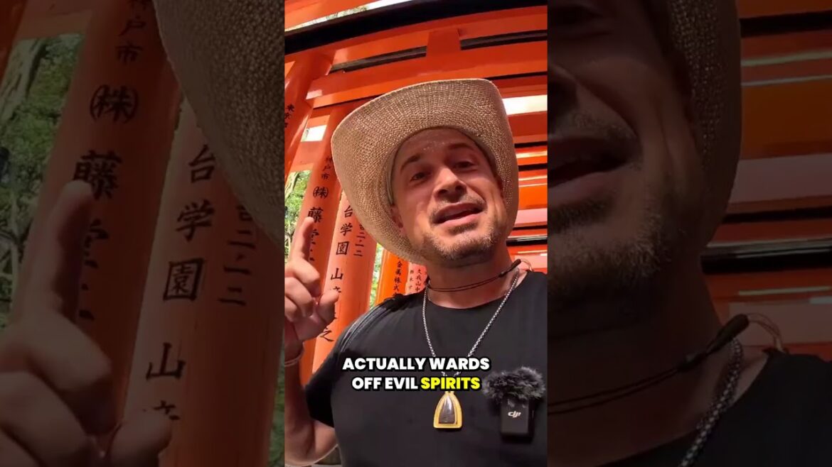 Fushimi Inari Shrine Walk & Guide  #kyoto #japantravel #japan Fushimi Inari Shrine Walk & Guide  #kyoto #japantravel #japan