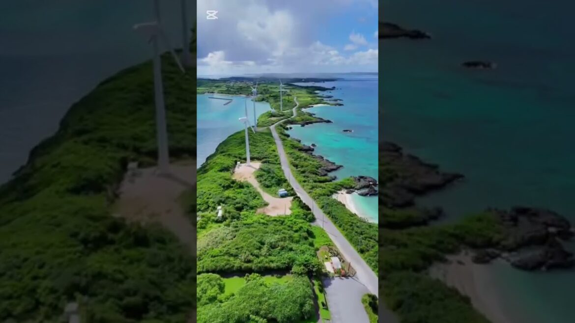 Okinawa Japan#Youtuber#youtubeshorts#video#shorts#viral#explorepage#wanderlust#culture#japan#okinawa Okinawa Japan#Youtuber#youtubeshorts#video#shorts#viral#explorepage#wanderlust#culture#japan#okinawa