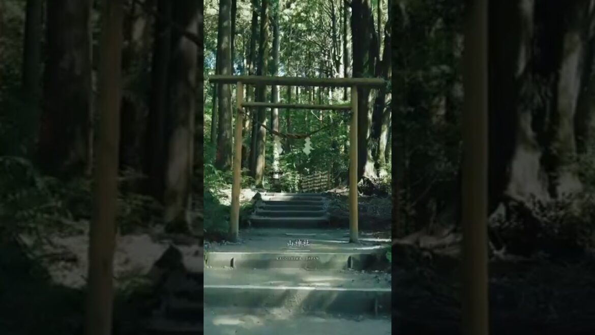 ποΈ #shorts #nature π¦βπ₯  #kagoshima π―π΅ #Japan #viralvideo #travel ποΈ #shorts #nature π¦βπ₯  #kagoshima π―π΅ #Japan #viralvideo #travel