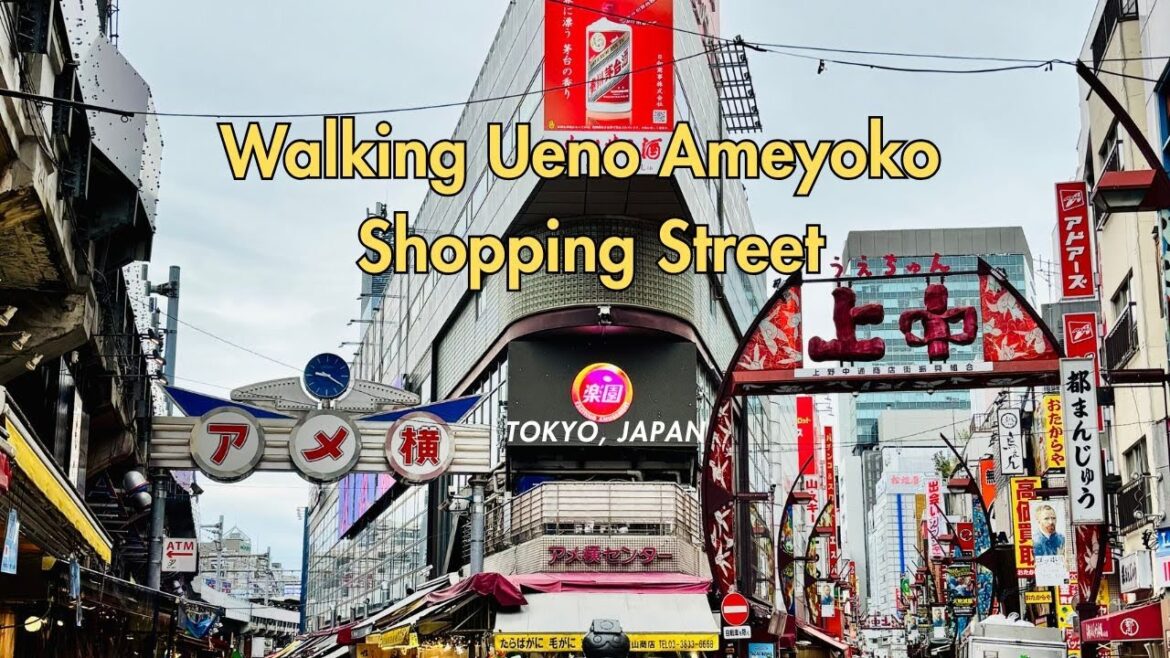 π―π΅ Walking Tour: Ameyoko Street, Tokyo | 4K Japan Street Food & Market Vibes π―π΅ Walking Tour: Ameyoko Street, Tokyo | 4K Japan Street Food & Market Vibes