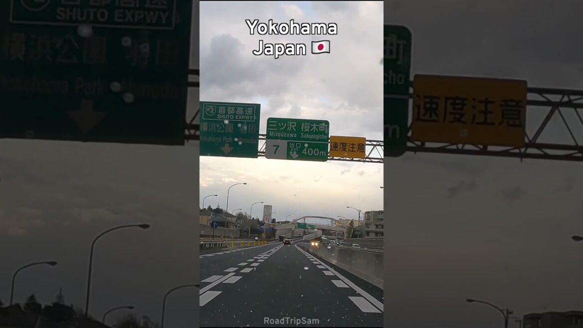 Expressway to Yokohama 🇯🇵 #driving #japan #travel