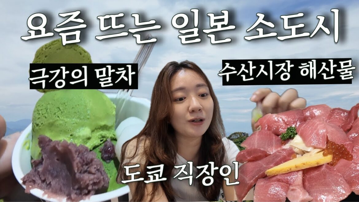 말차 덕후들이 주목할 일본 소도시 시즈오카 가성비 1박 여행 | 도쿄 1시간 거리, 말차 아이스크림, 후지산 전망대, 수산시장 말차 덕후들이 주목할 일본 소도시 시즈오카 가성비 1박 여행 | 도쿄 1시간 거리, 말차 아이스크림, 후지산 전망대, 수산시장