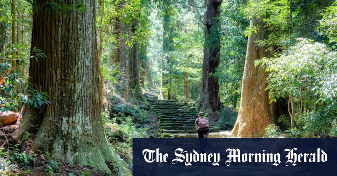 Explore Japan’s spiritual heart south of Osaka Explore Japan’s spiritual heart south of Osaka