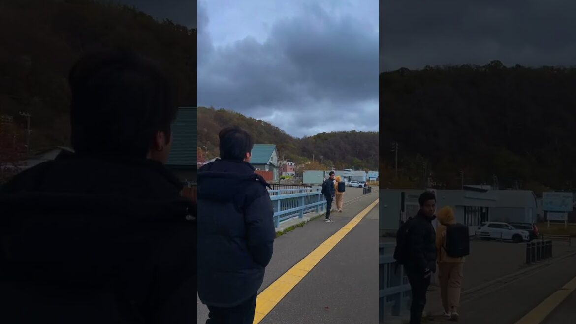 #bollywood #love #japanvlog #hokkaido #travel