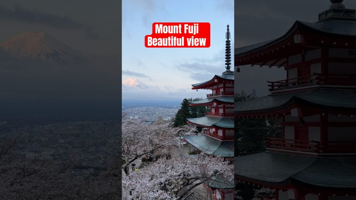 Is Spring Really the Best Time to See Mount Fuji and Chureito Pagoda? Is Spring Really the Best Time to See Mount Fuji and Chureito Pagoda?