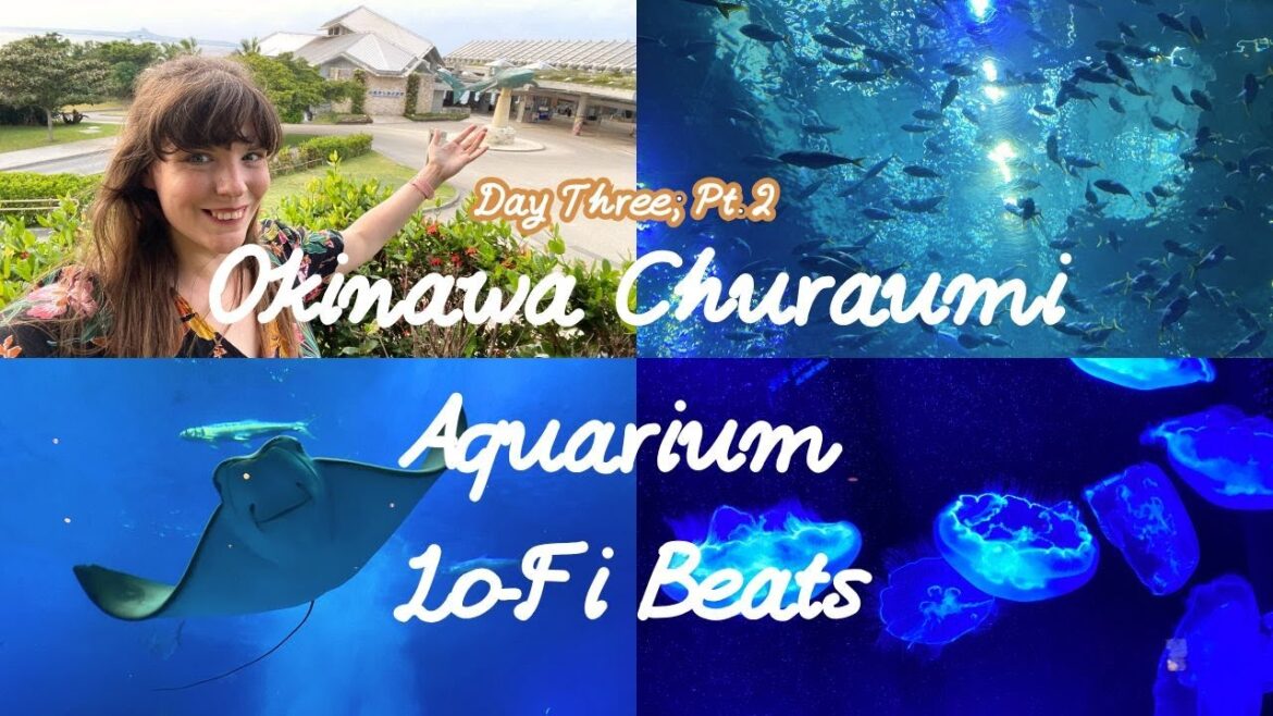 Okinawa Day Three Part Two! Churaumi Aquarium! Let’s Relax with some Low-Fi Beats and Enjoy the View Okinawa Day Three Part Two! Churaumi Aquarium! Let's Relax with some Low-Fi Beats and Enjoy the View