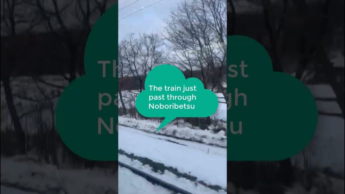 I’ve travelled from inland to coastal on Hokuto 4 from Shin Sapporo heading to Shin Hakodate Hokuto I've travelled from inland to coastal on Hokuto 4 from Shin Sapporo heading to Shin Hakodate Hokuto