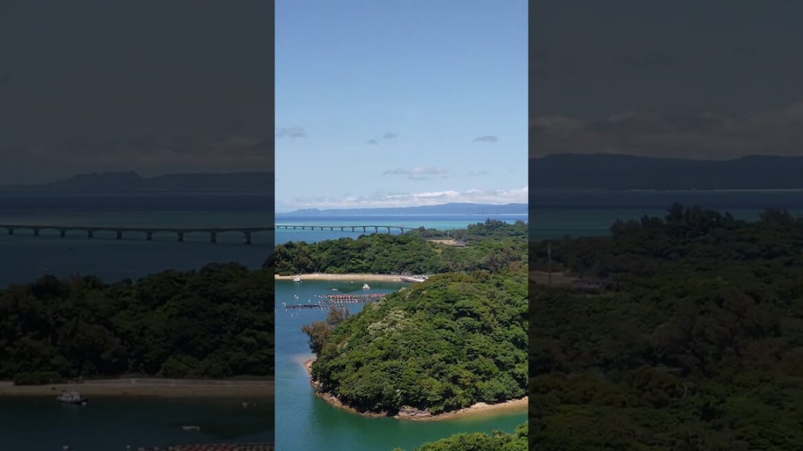 #okinawa #kouriisland #shorts #beach