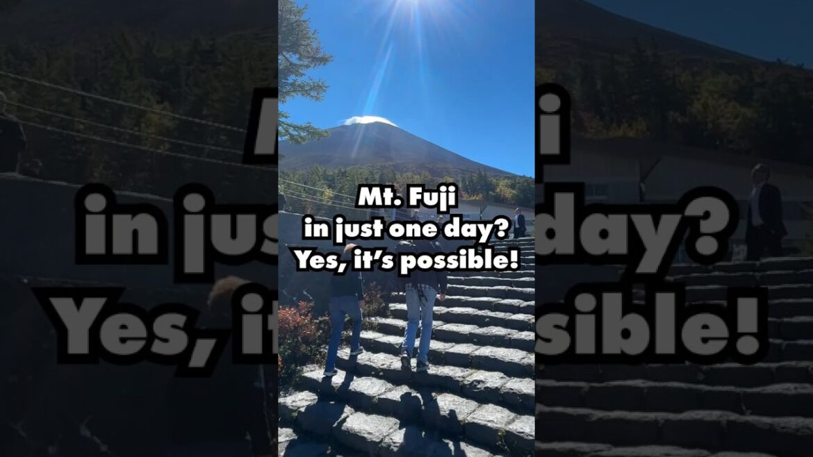 Mt. Fuji & Hakone in Just 1 Day! πβ¨ Easy Bus Tour from Tokyo Mt. Fuji & Hakone in Just 1 Day! πβ¨ Easy Bus Tour from Tokyo