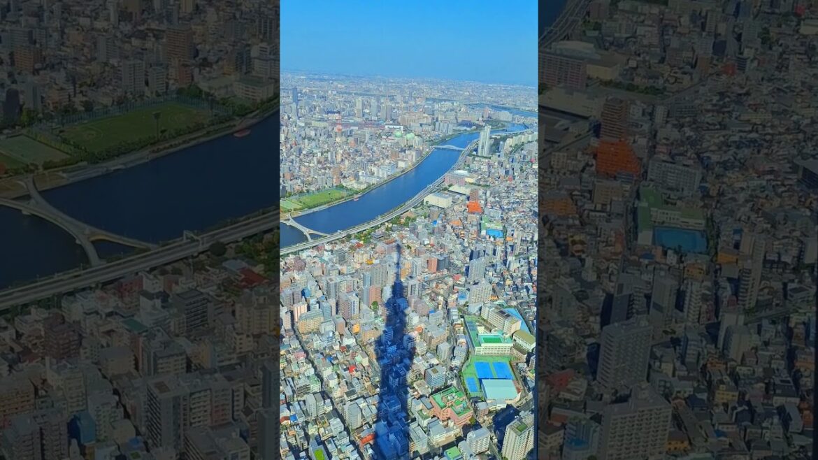 Above Ground #tokyoskytree