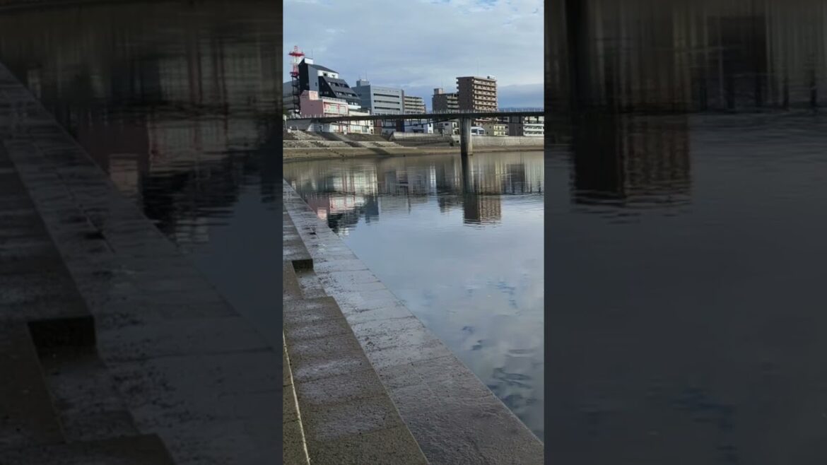 狩野川（静岡県沼津市）kanogawa river（numazu city）