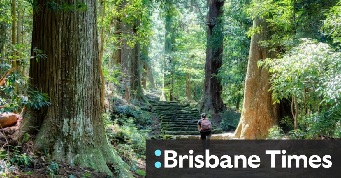 Explore Japan’s spiritual heart south of Osaka Explore Japan’s spiritual heart south of Osaka