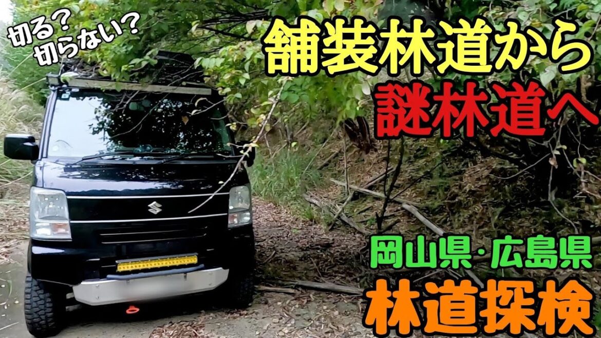 【林道走行 岡山県】切る?切らない? リフトアップしたエブリィの枝パンチ問題 岡山〜広島林道ロードトリップ 【林道走行 岡山県】切る?切らない? リフトアップしたエブリィの枝パンチ問題 岡山〜広島林道ロードトリップ