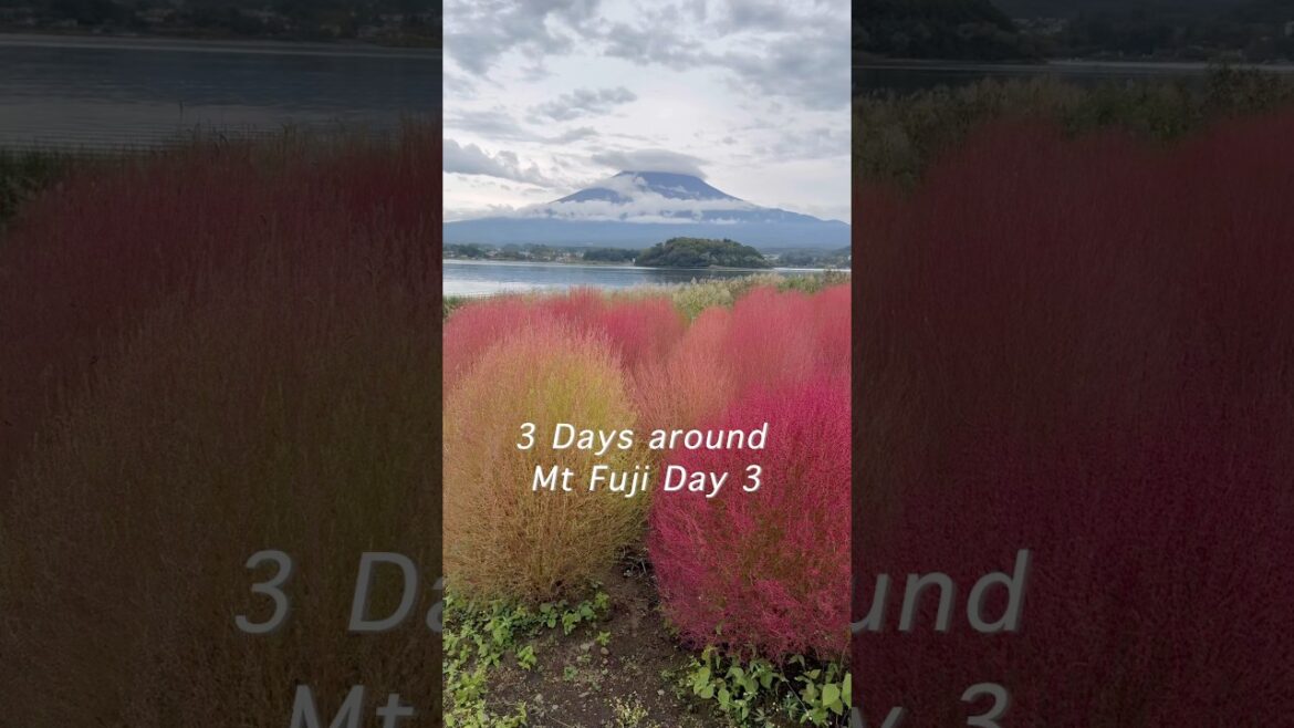 Mount Fuji Day Trip π―π΅ | Oshino Hakkai, Lake Yamanakako & Fuji-Q Highland Mount Fuji Day Trip π―π΅ | Oshino Hakkai, Lake Yamanakako & Fuji-Q Highland