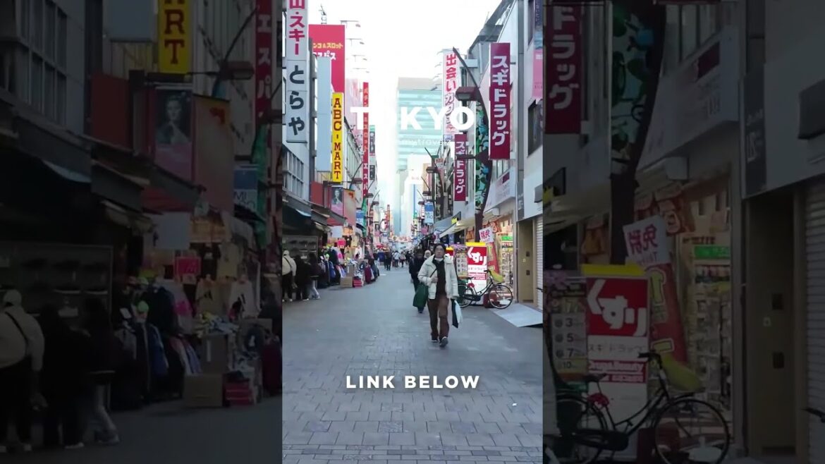 #tokyo #osaka #ohtani #kyoto #shibuya #ginza #onsen #shinjuku #soba #ramen #tokyotravel #japan