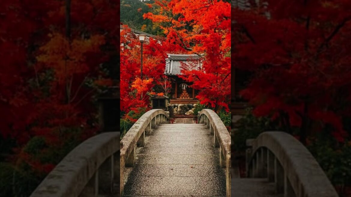 Eikandō Temple, Kyoto, Japan #trip #travelvlog #vacation #vacationvlogs #holiday #travel #japan Eikandō Temple, Kyoto, Japan #trip #travelvlog #vacation #vacationvlogs #holiday #travel #japan