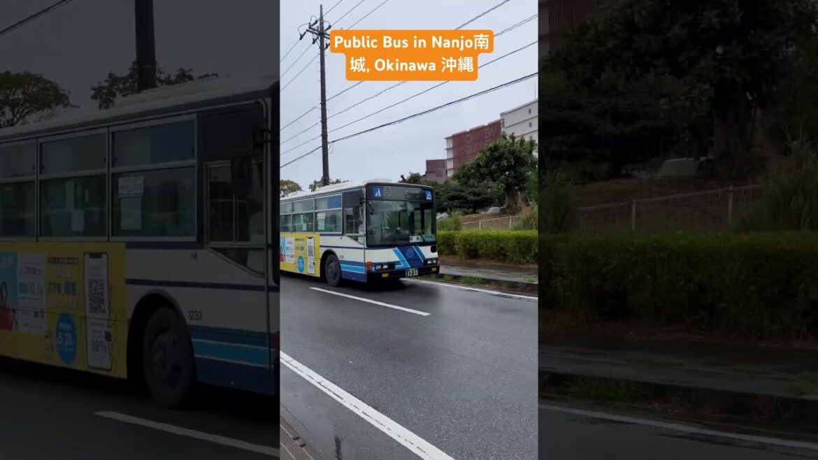 Public bus in Nanjo, Okinawa #travel bus