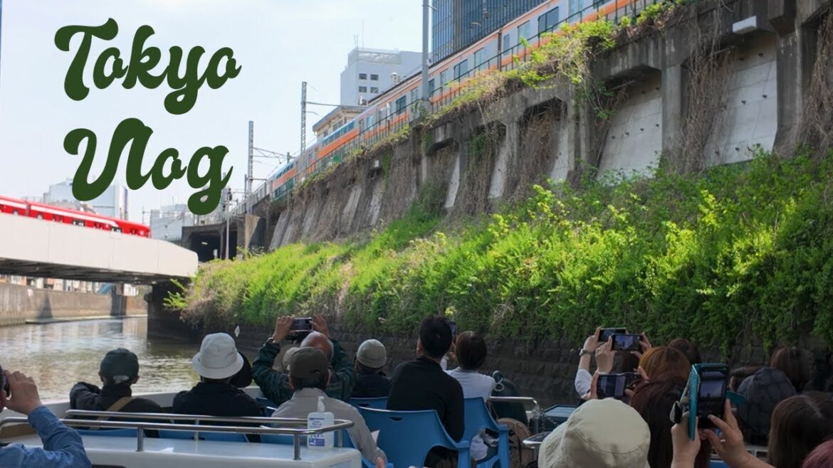 From Aomori to Tokyo — Sushi, River Views & City Walks From Aomori to Tokyo — Sushi, River Views & City Walks