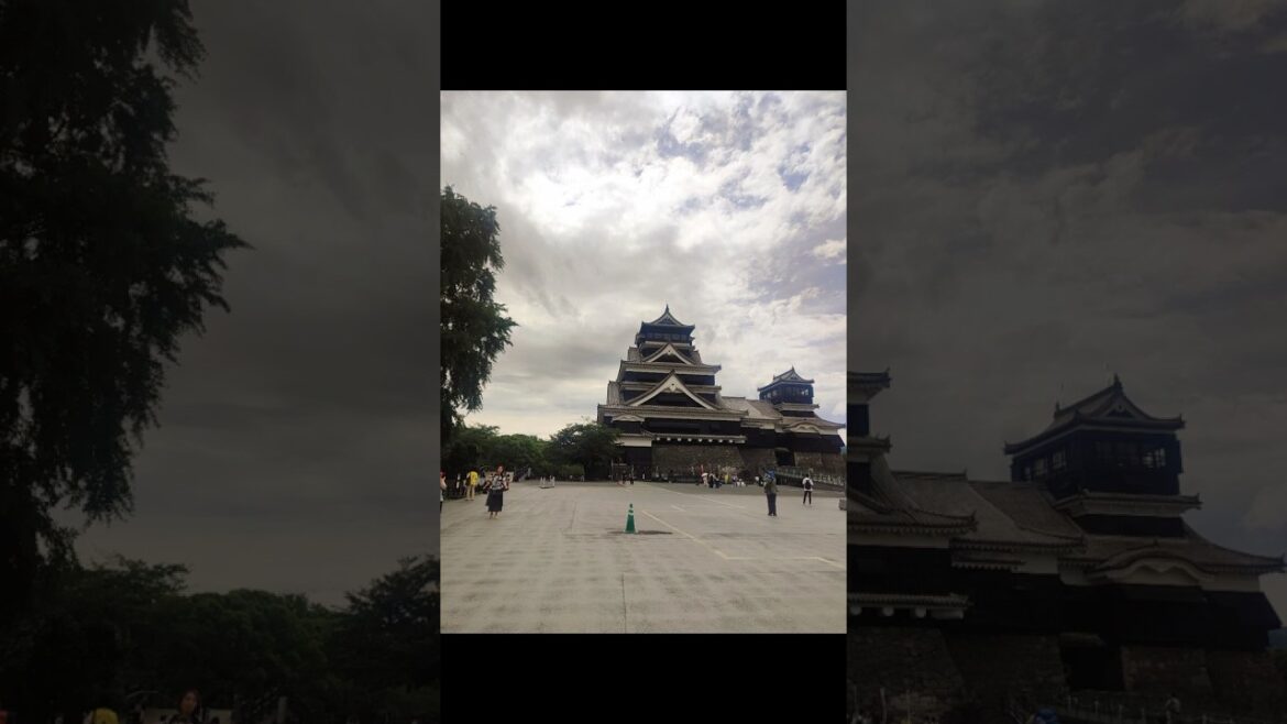 You’ve worked hard