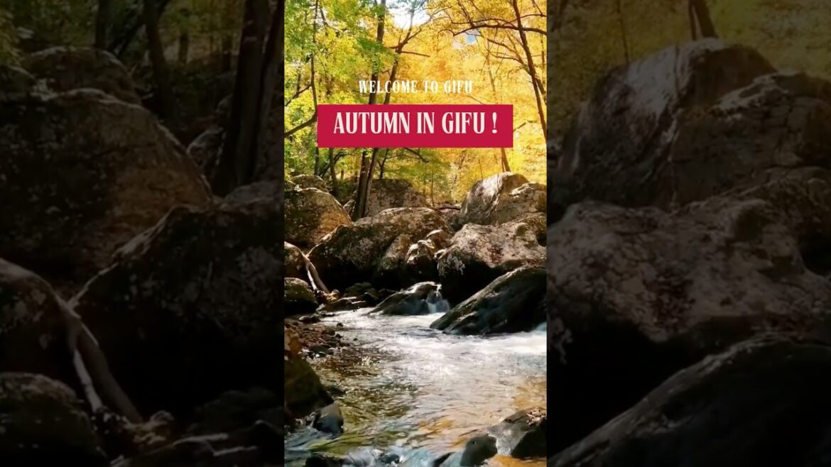 🍁Discover Autumn in Gifu|Shirakawa-go, Gero Onsen & Magome-juku Fall Trip 🍁Discover Autumn in Gifu|Shirakawa-go, Gero Onsen & Magome-juku Fall Trip