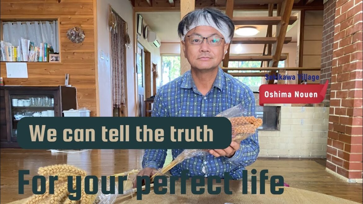 🧑🌾【Oshima Nouen】 The Leading Millet Family In Japan! Niigata Pref🇯🇵 🧑🌾【Oshima Nouen】 The Leading Millet Family In Japan! Niigata Pref🇯🇵