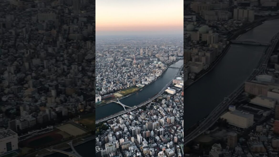 Tokyo Skytree: Sky-High Panorama, Floating Above the Metropolis 🌆🇯🇵🗾🎌