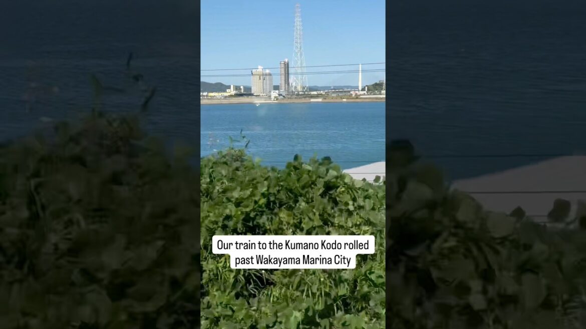 Our train rolled past Wakayama Marina City, a vibrant artificial island resort in Japan. 🚆🌊