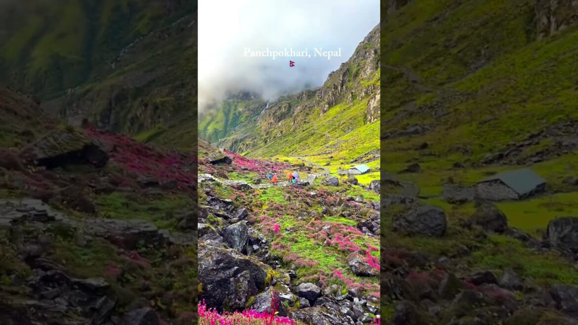 Panch Pokhari Trek – Nepal’s Hidden Sacred Lakes