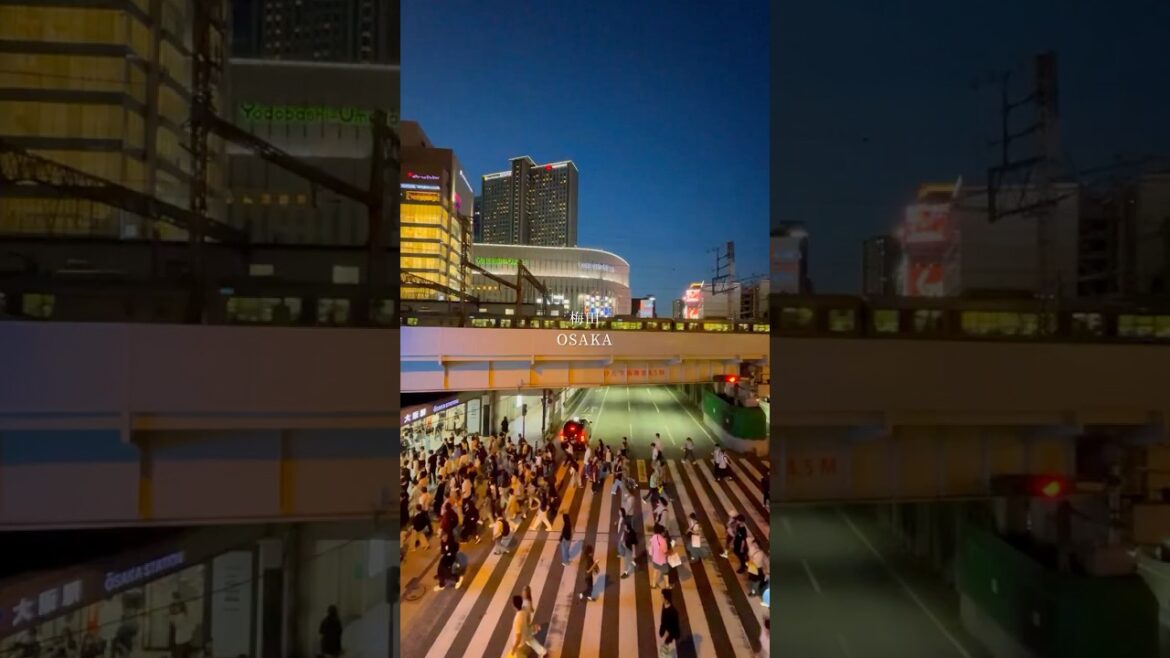 梅田の夜景 / Umeda, Osaka🇯🇵#大阪 #梅田 #夜景 #osakajapan