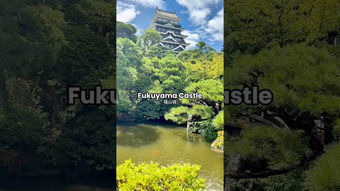 Must-see spots: Japan’s ONLY Castle with a Black Armored Wall | Hidden Japan Trip Must-see spots: Japan's ONLY Castle with a Black Armored Wall | Hidden Japan Trip