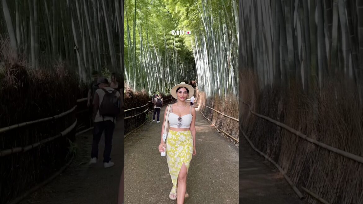 Bamboo forest in Kyoto Japan 🇯🇵 #japantravel #japanvlog #kyoto #japan