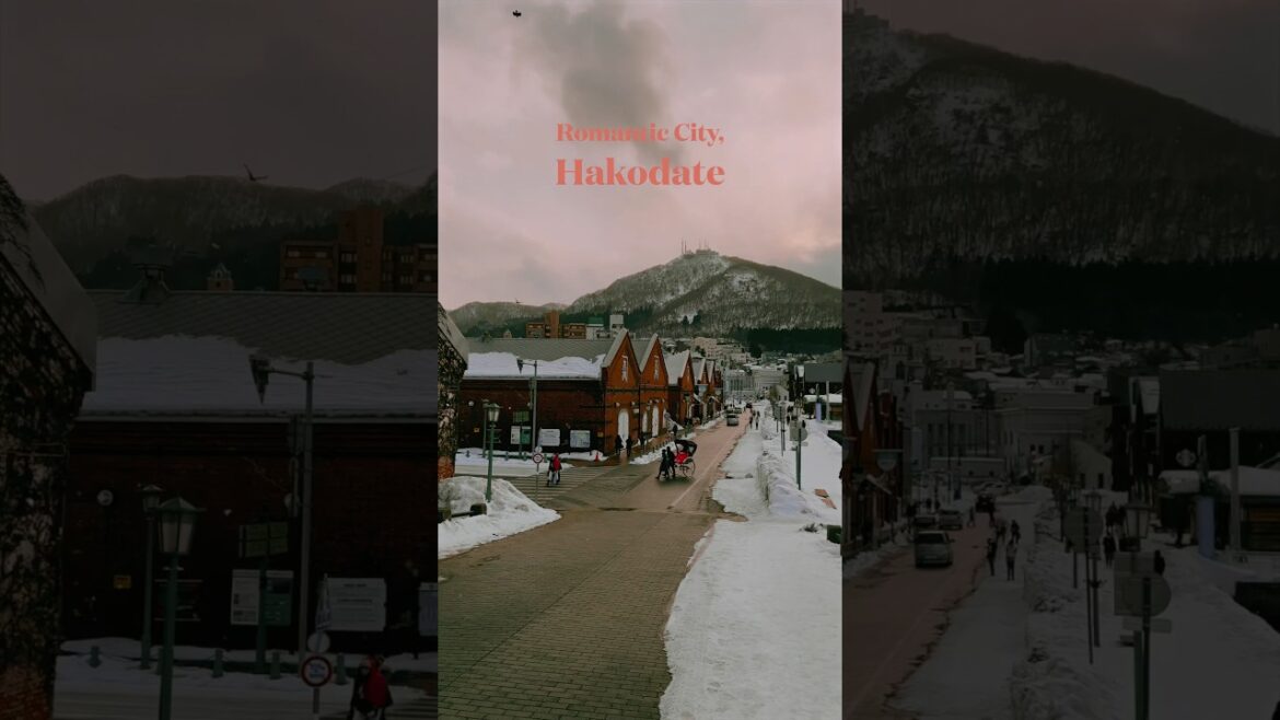 🇯🇵Romantic City, Snowy Hakodate❄️Hokkaido✨ #Hakodate#Japan#Hokkaido