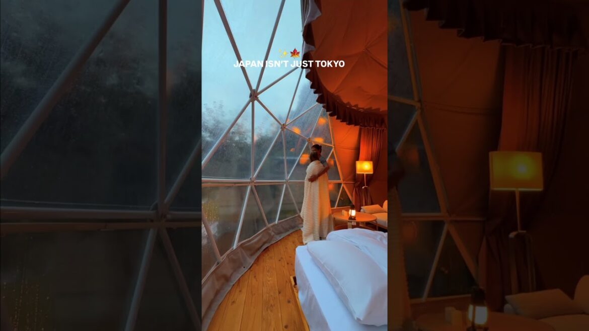 We have found the most magical stay in Japan! We have found the most magical stay in Japan!