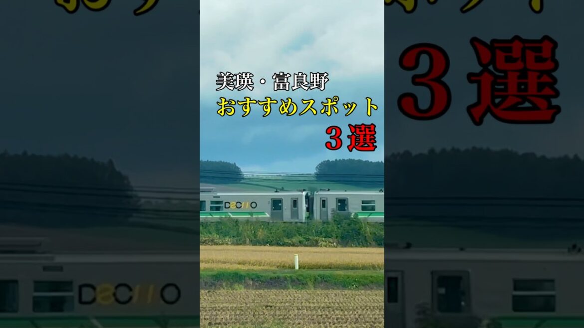 【北海道】美瑛・富良野おすすめスポット3線(絶景) 【北海道】美瑛・富良野おすすめスポット3線(絶景)