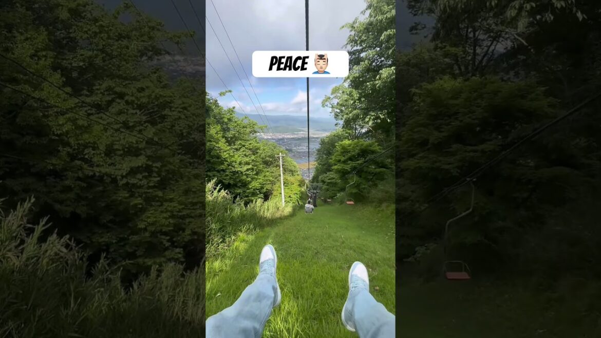 Peace 💆🏻‍♂️ #viralvideo #travel #japantravel #kyoto #kyotango #drive