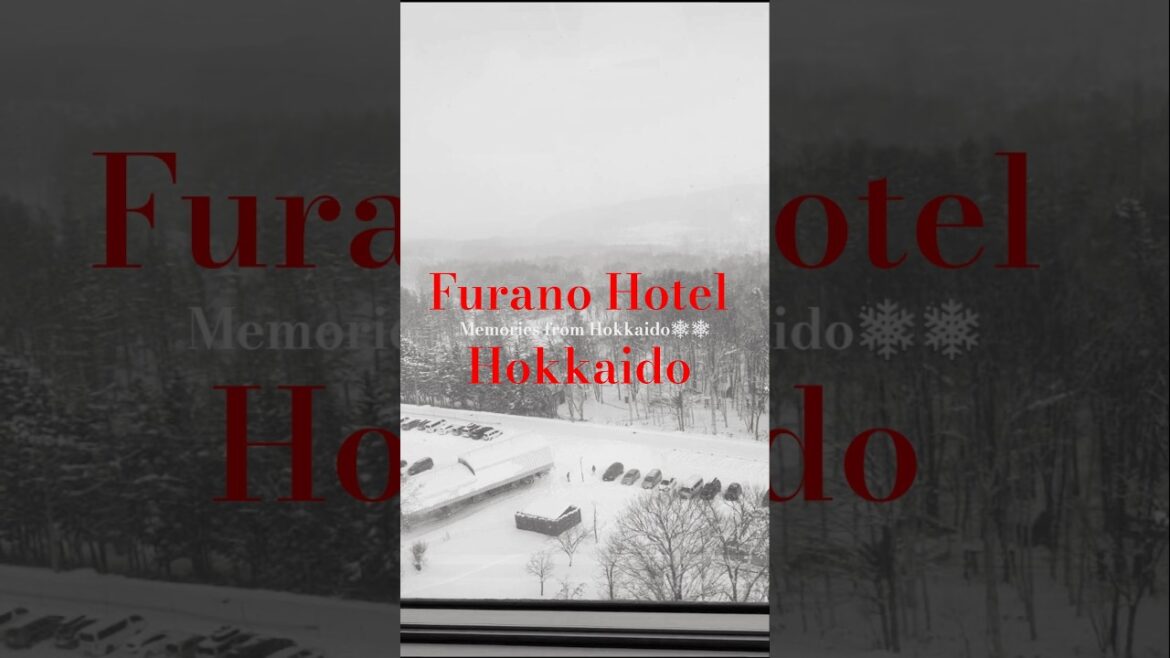 Top hotel Furano #vlog #travel #japantravel #furano#hotel #hokkaidotrip