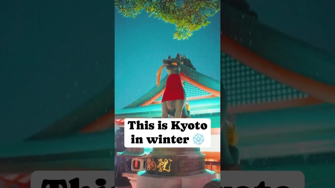 Kyoto in Winter: A Magical Experience Kyoto in Winter: A Magical Experience