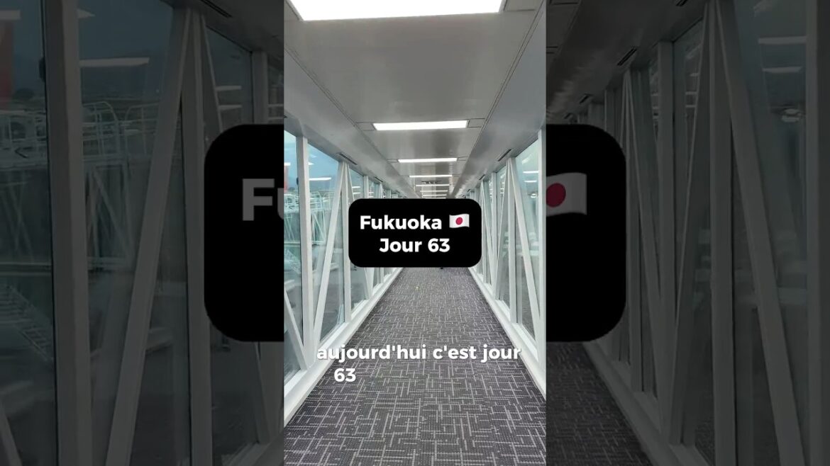 Meilleur restaurant de Fukuoka ? Meilleur restaurant de Fukuoka ?