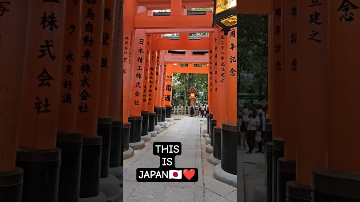 KYOTO, JAPAN🇯🇵❤️🇯🇵❤️#japan #tokyo #osaka #kyoto #nara #travel
