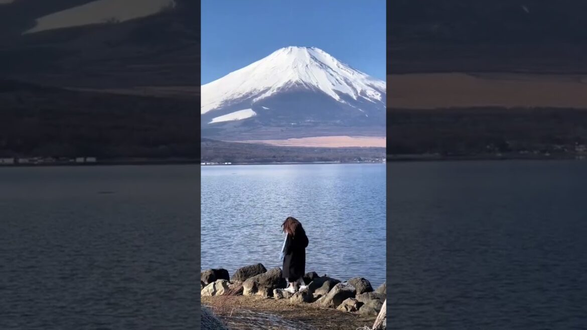5 Locations you can see Mt.Fuji beautifully. #mtfuji  #fujiyama  #japantravel   #japannature