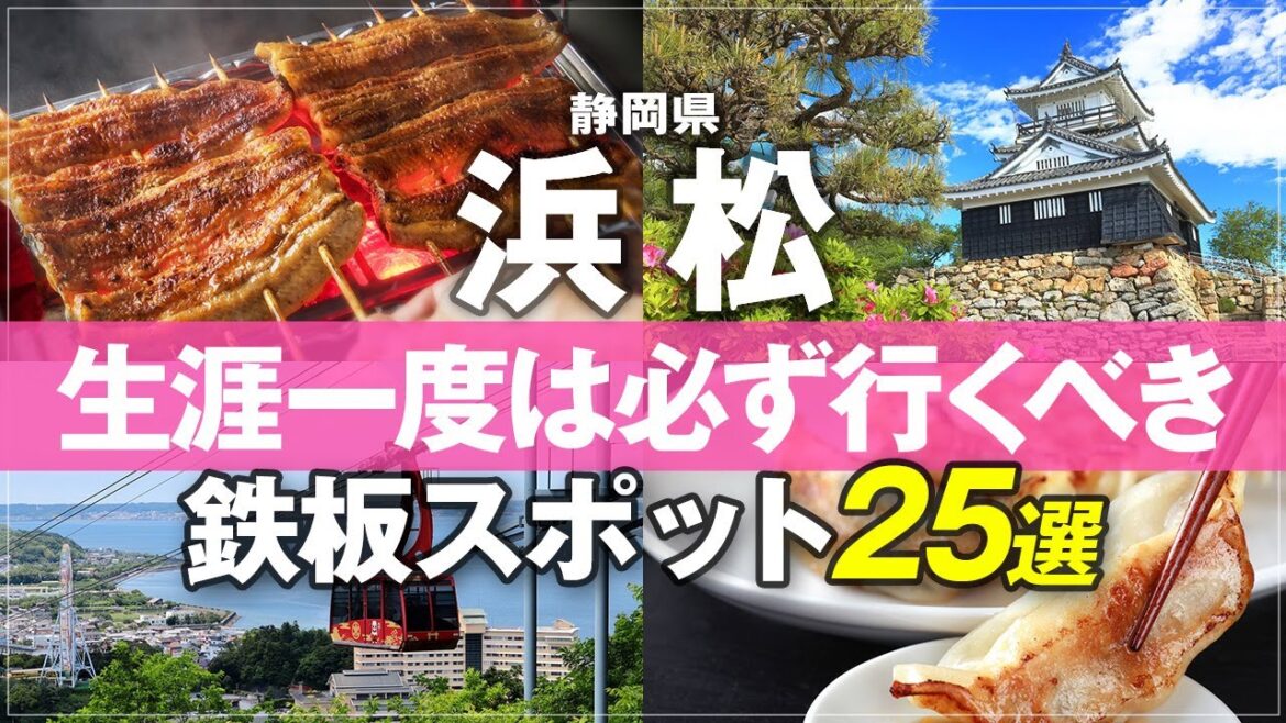 【静岡県 浜松 観光 おすすめ 25選 最新版】ここだけ行けば浜松は大満足!失敗しない浜松旅行 モデルコース 浜松城 五社神社 浜名湖 うなぎパイファクトリー 楽器博物館 さわやかハンバーグ 【静岡県 浜松 観光 おすすめ 25選 最新版】ここだけ行けば浜松は大満足!失敗しない浜松旅行 モデルコース 浜松城 五社神社 浜名湖 うなぎパイファクトリー 楽器博物館 さわやかハンバーグ