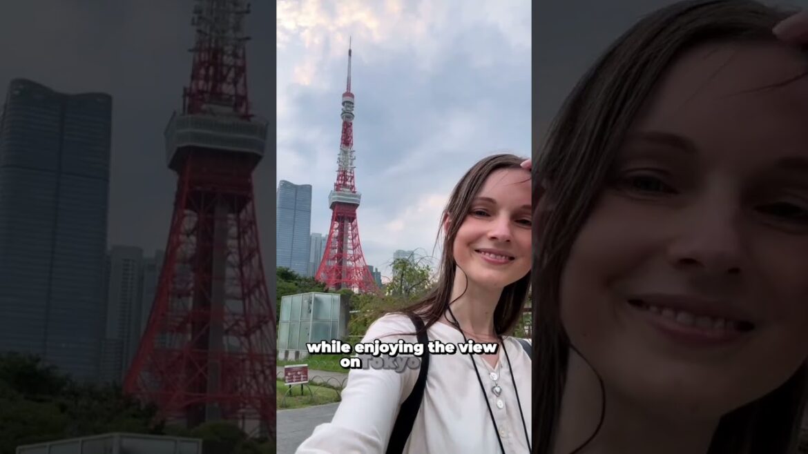 Tokyo Tower Sunset Tour with Sake and Matcha Experience