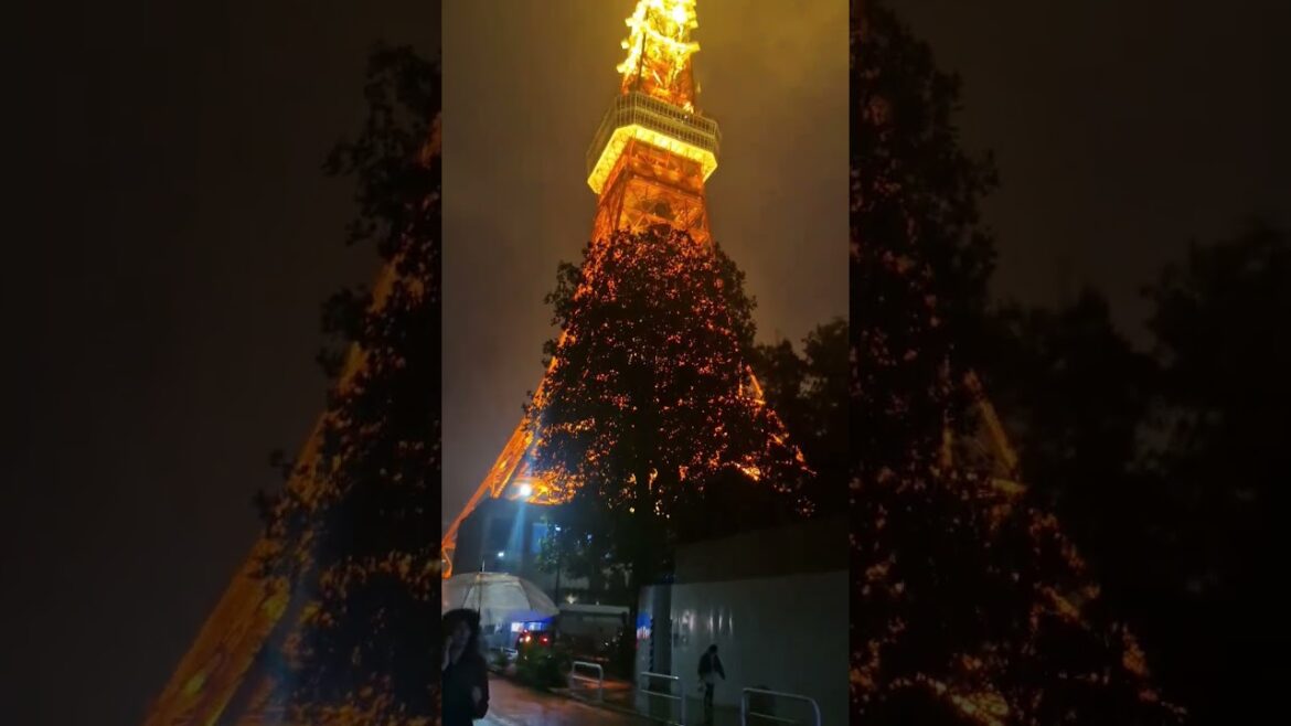 도쿄타워야경 Tokyo City View # Japan Tour 도쿄타워야경 Tokyo City View # Japan Tour