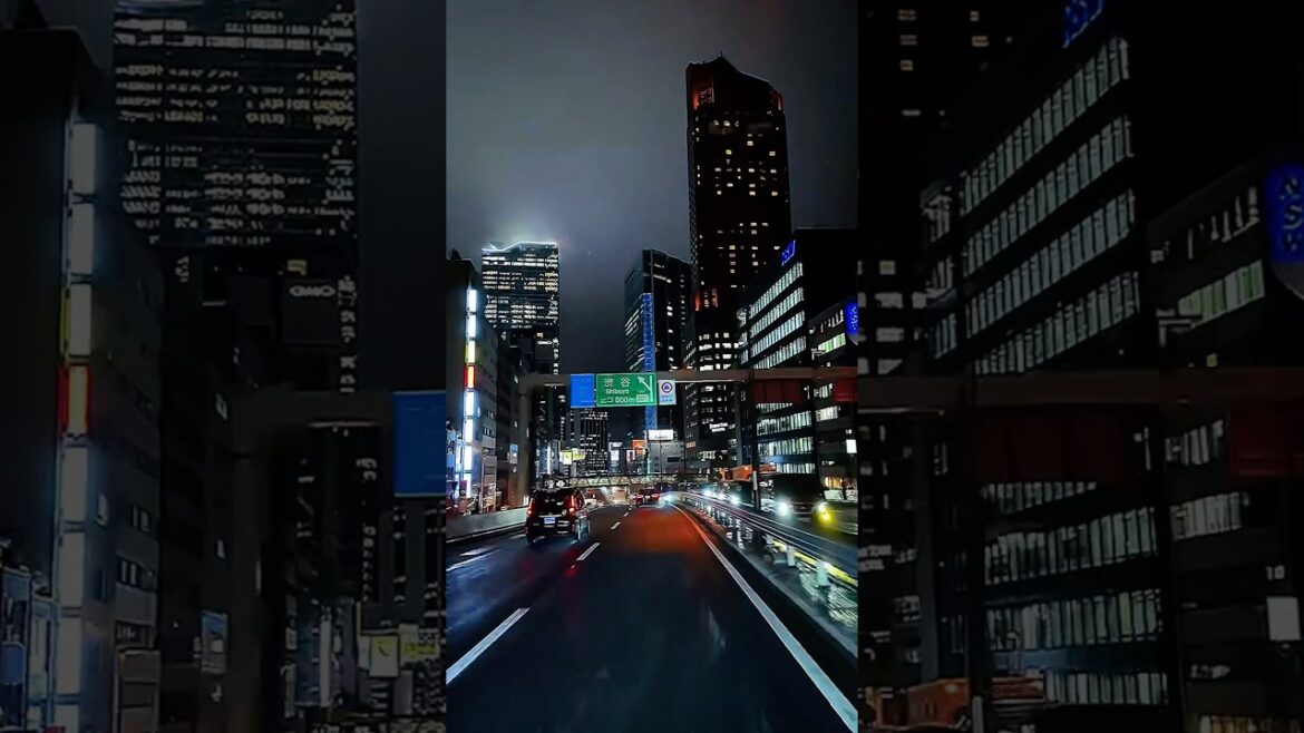 Japan will be your 2nd Home💯🇯🇵❤️ #japan #travel #amazing Japan will be your 2nd Home💯🇯🇵❤️ #japan #travel #amazing