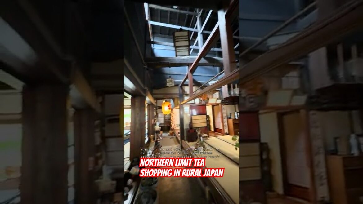 Northern Limit Tea Shopping in Rural Japan π―π΅ Murakami, Niigata Prefecture πΎπ΅ Northern Limit Tea Shopping in Rural Japan π―π΅ Murakami, Niigata Prefecture πΎπ΅