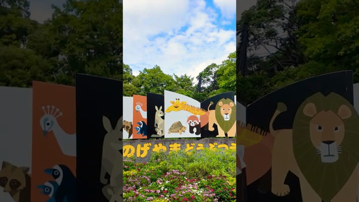 A Walk Through Yokohama’s A Day in Noge: From Deep Alleys to the Zoo,Japan! #japan #4k  #walking A Walk Through Yokohama’s A Day in Noge: From Deep Alleys to the Zoo,Japan! #japan #4k  #walking